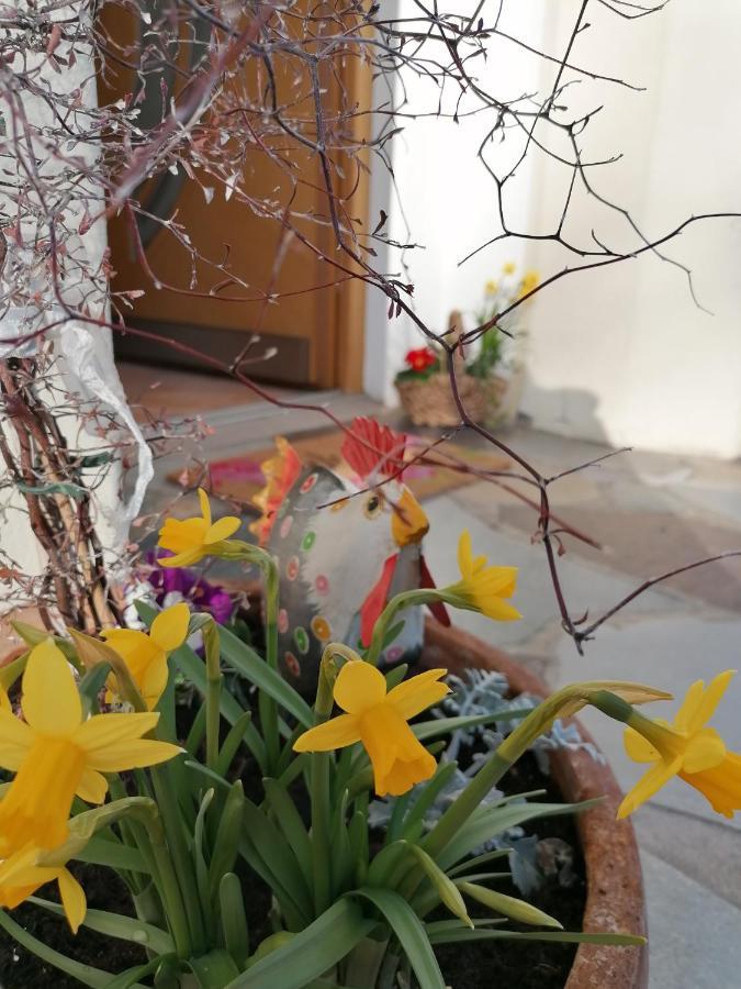 Gaestehaus Alpenblick Mutters Exterior foto