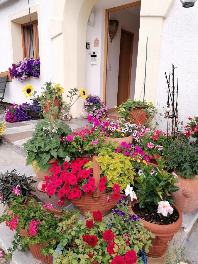 Gaestehaus Alpenblick Mutters Exterior foto