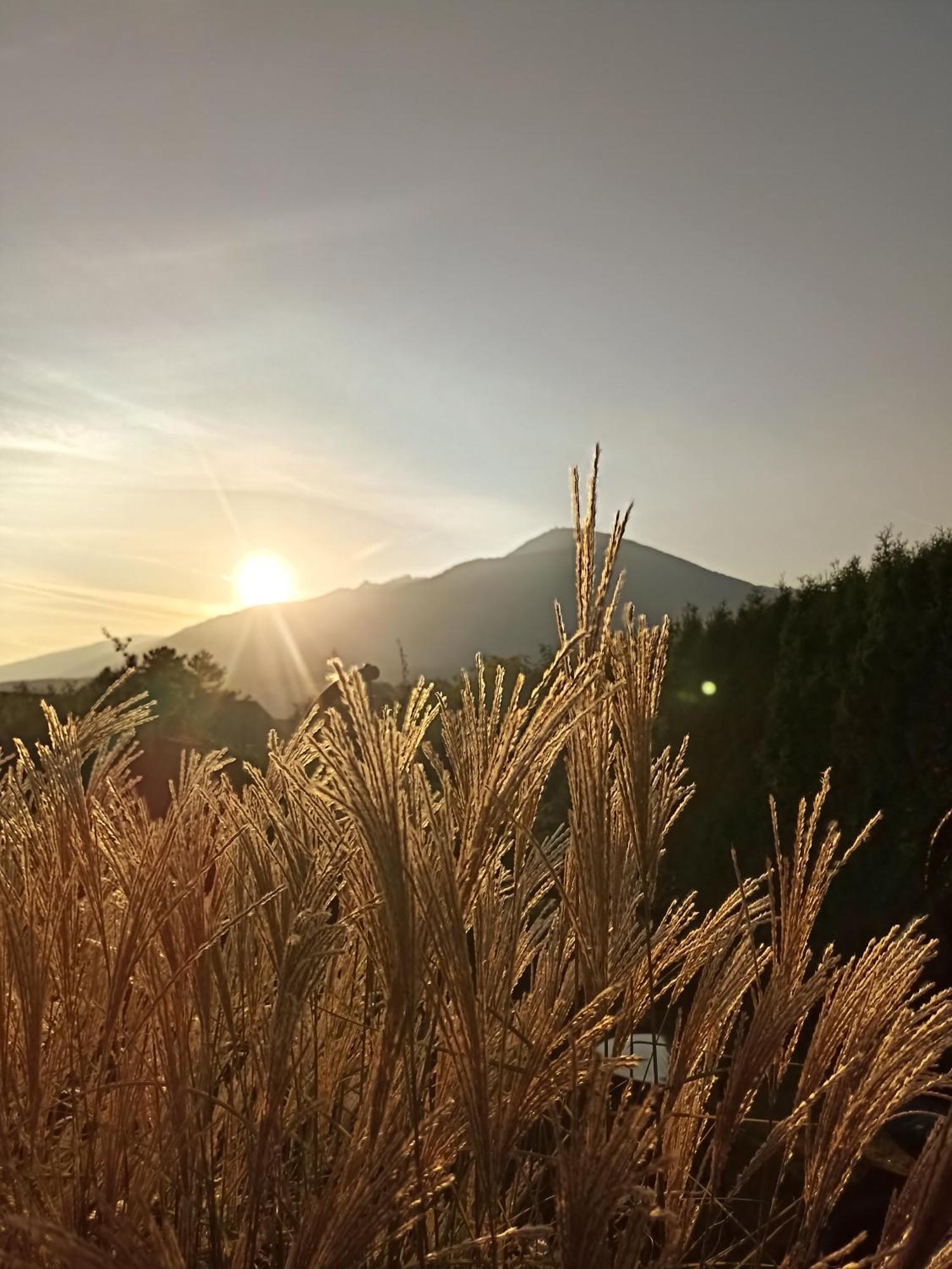 Gaestehaus Alpenblick Mutters Exterior foto